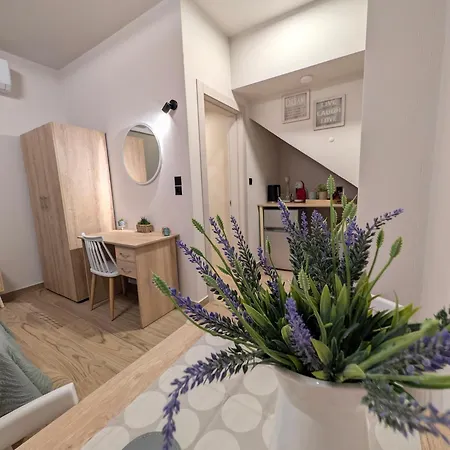 Nest Appartement